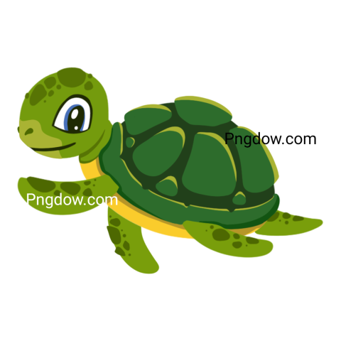 Cartoon Turtle Illustration for free