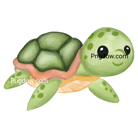 Sea turtle sea animal cute doodle