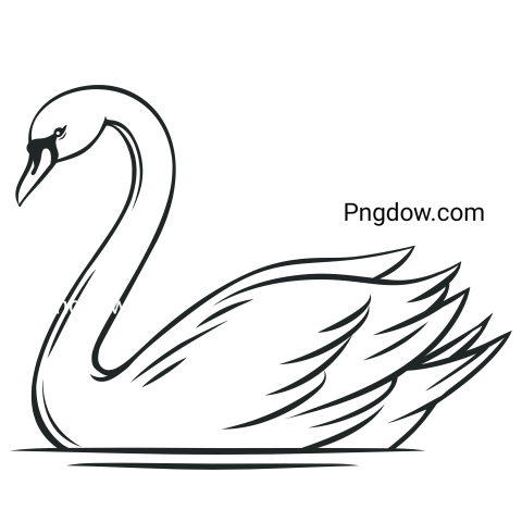 Swan Outline Icon transparent background