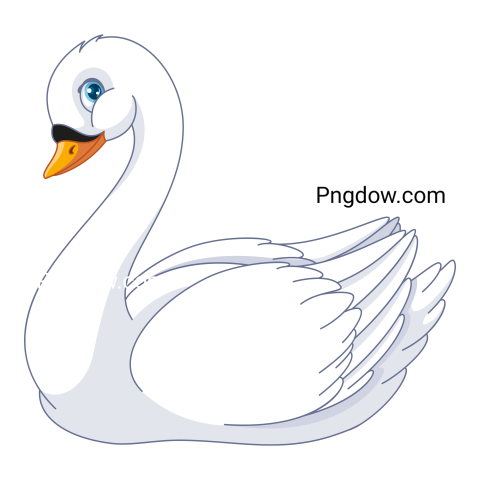 Illustration Cute White Swan