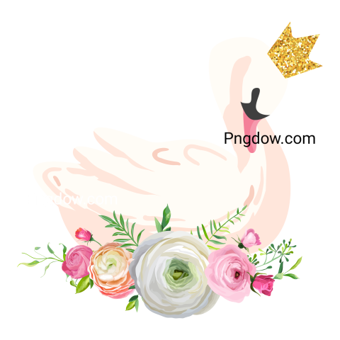 Swan transparent background for free