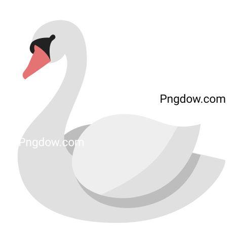 Swan Png image free download