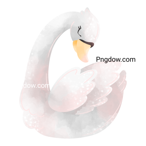 Swan image For Free transparent background