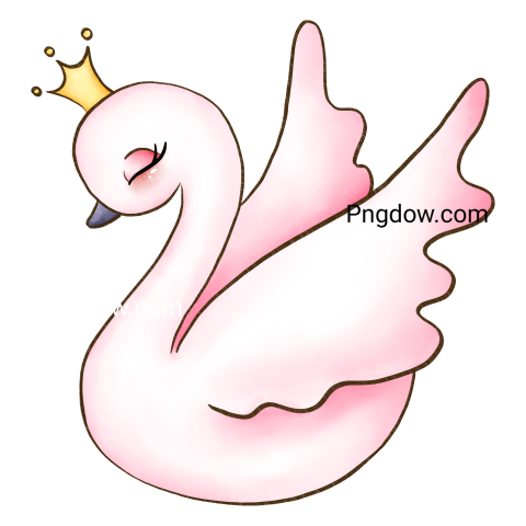 Pink Swan Illustration transparent background