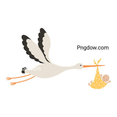 Stork Carrying a Baby Illustration