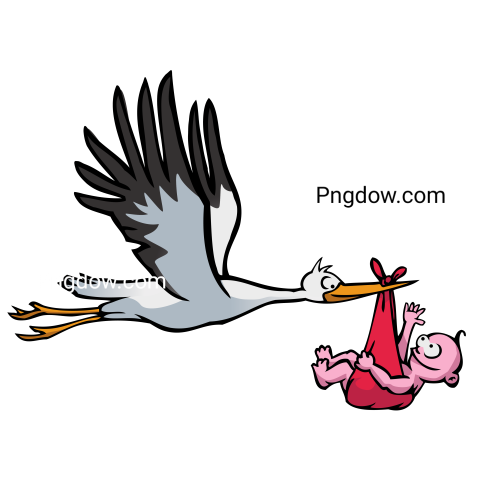 Flying Stork with Baby Illustration
