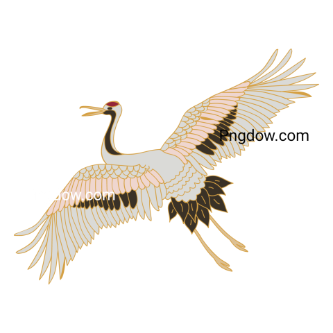 Oriental Stork Illustration