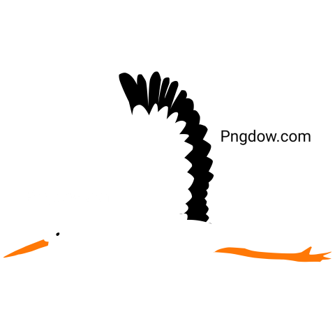 Flying Stork Illustration