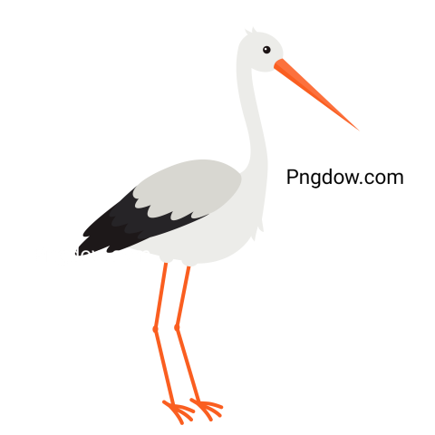 Stork Bird Illustration Png image