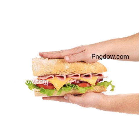 Hands pressing tasty sandwich