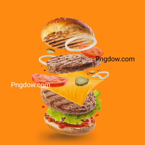 Burger on Orange Background