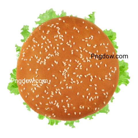 Fresh vegan burger top view  Isolated