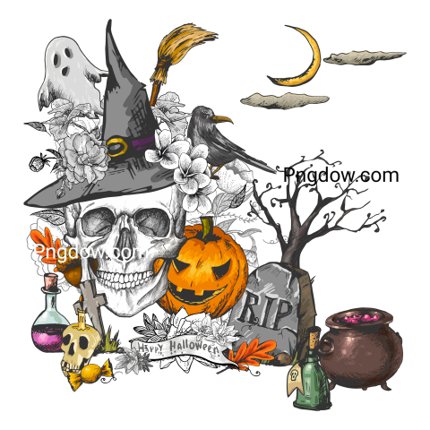 Halloween Doodle Skull Illustration
