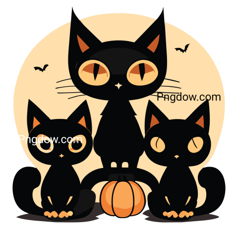 Halloween black cat