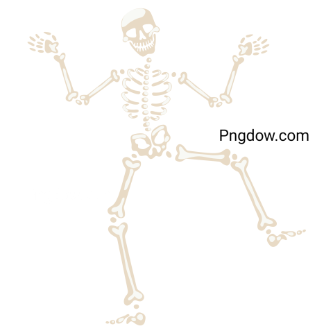 Halloween skeletons  Dancing skeletons, spooky halloween