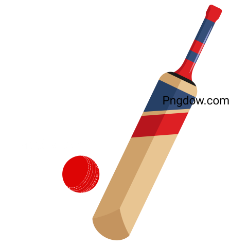 Cricket Bat and Ball Vector Illustration Graphic