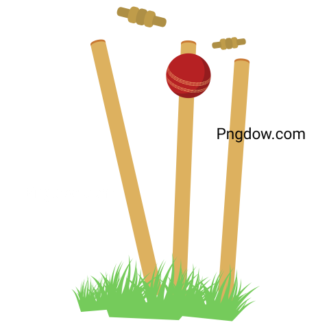 Cricket Ball Hitting the Wicket Stumps