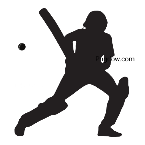Cricket Player Batsman Play Shot Drive Png image