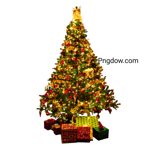 Isolated Christmas Tree transparent background