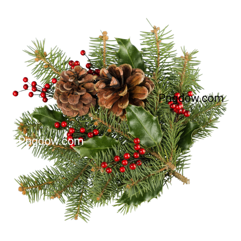 Christmas Decoration Pine and Needles