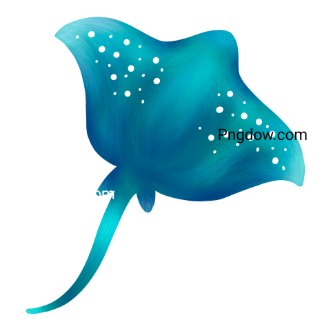 Turquoise Stingray Fish
