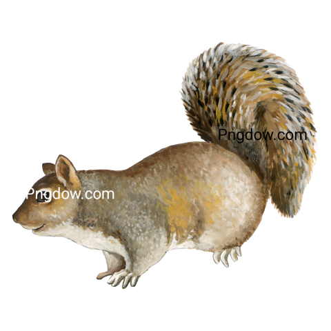 Watercolor squirrel image For free
