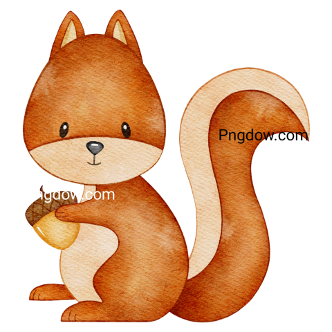 Illustration watercolor squirrel