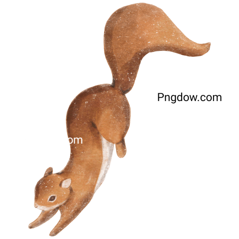 Cute squirrel transparent background image free