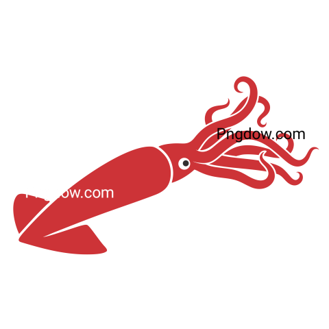 Red Squid Illustration