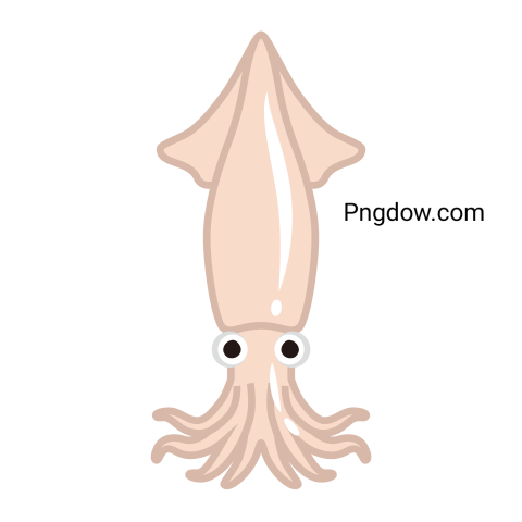 Squid Vector Illustration Icon