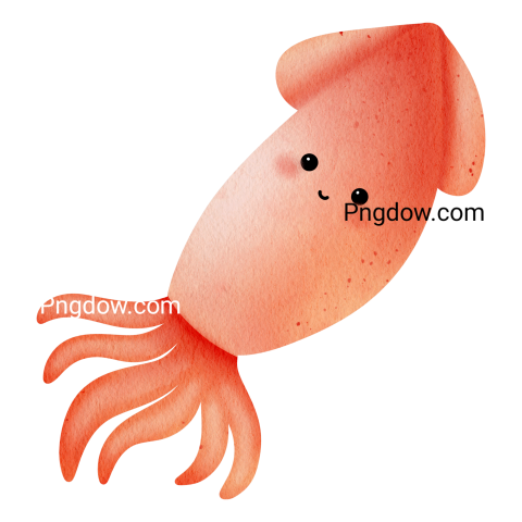 Squid transparent background image for free