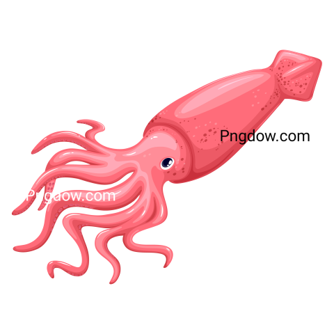 Squid Png free download