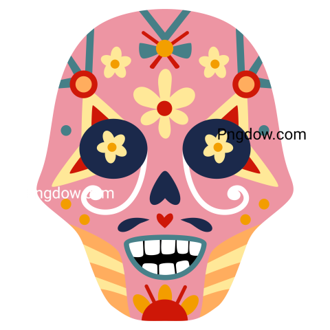 Dia De Los Muertos Skull  Mexican Day of the Dead Decorative Man and Woman Sugar Skulls with Flower  Mexico Holiday Skeleton Face Vector Set Png transparent background image