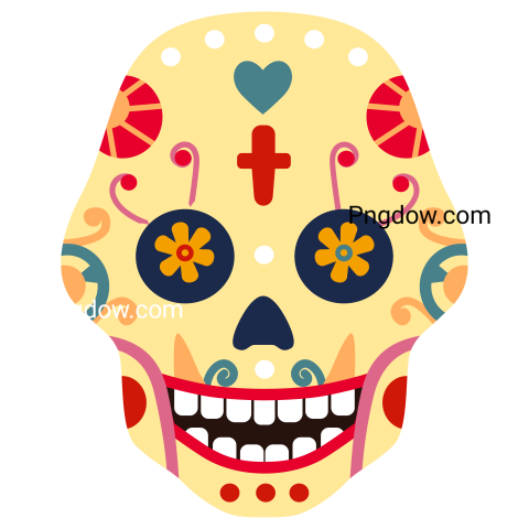 Dia De Los Muertos Skull  Mexican Day of the Dead Decorative Man and Woman Sugar Skulls with Flower  Mexico Holiday Skeleton Face Vector Set transparent image