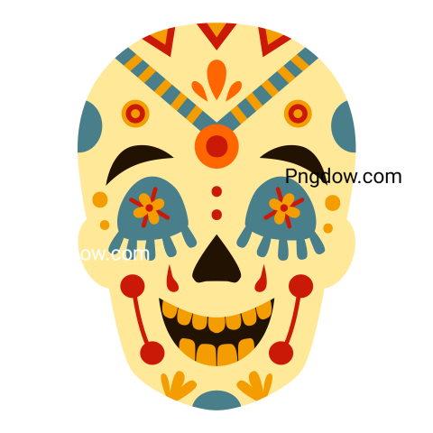 Dia De Los Muertos Skull  Mexican Day of the Dead Decorative Man and Woman Sugar Skulls with Flower  Mexico Holiday Skeleton Face Vector Set transparent background