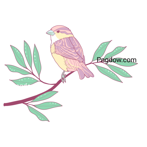 Cute Lilac Sparrow on a Branch Illustration