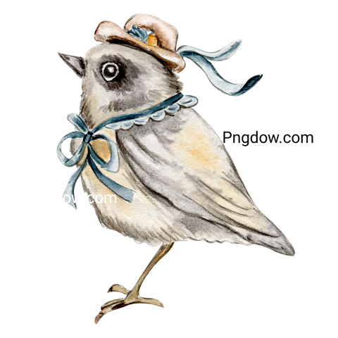 Sparrow, Png images free