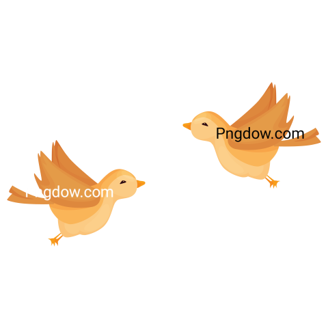 Flying Sparrow Birds