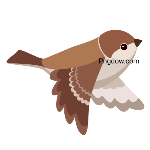 Flying Sparrow Illustration