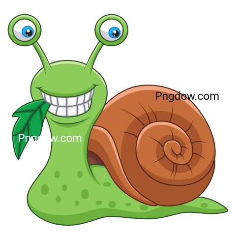 Cartoon Snail Illustration