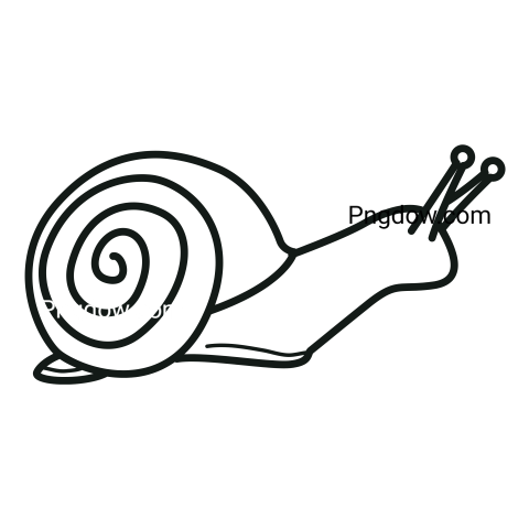 Snail transparent background image free