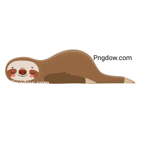 Cartoon Sloths   Adorable Sloth Animal at Jungle Rainforest  Funny Animals on Tropical Forest Trees Vector Set