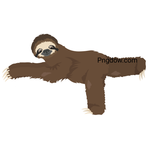 Sloth Yoga Collection  Funny Cartoon Animals in Different Postur