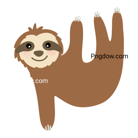 Cute sloth transparent background