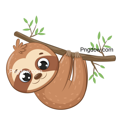 Cute sloth hanging on a tree branch