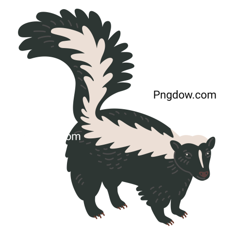 Striped Skunk Illustration transparent background free