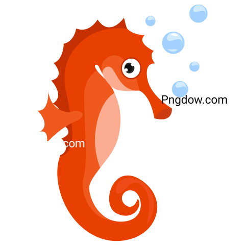 Orange Sea Horse, Illustration, Vector on White Background