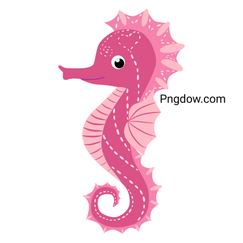 Pink Seahorse Illustration