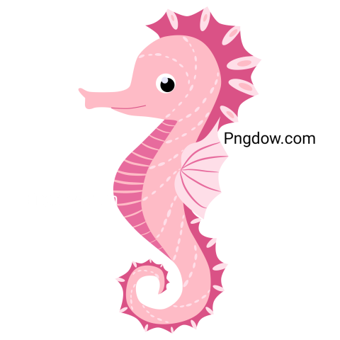 Pink Seahorse Animal