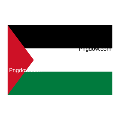 Flag of Palestine Illustration